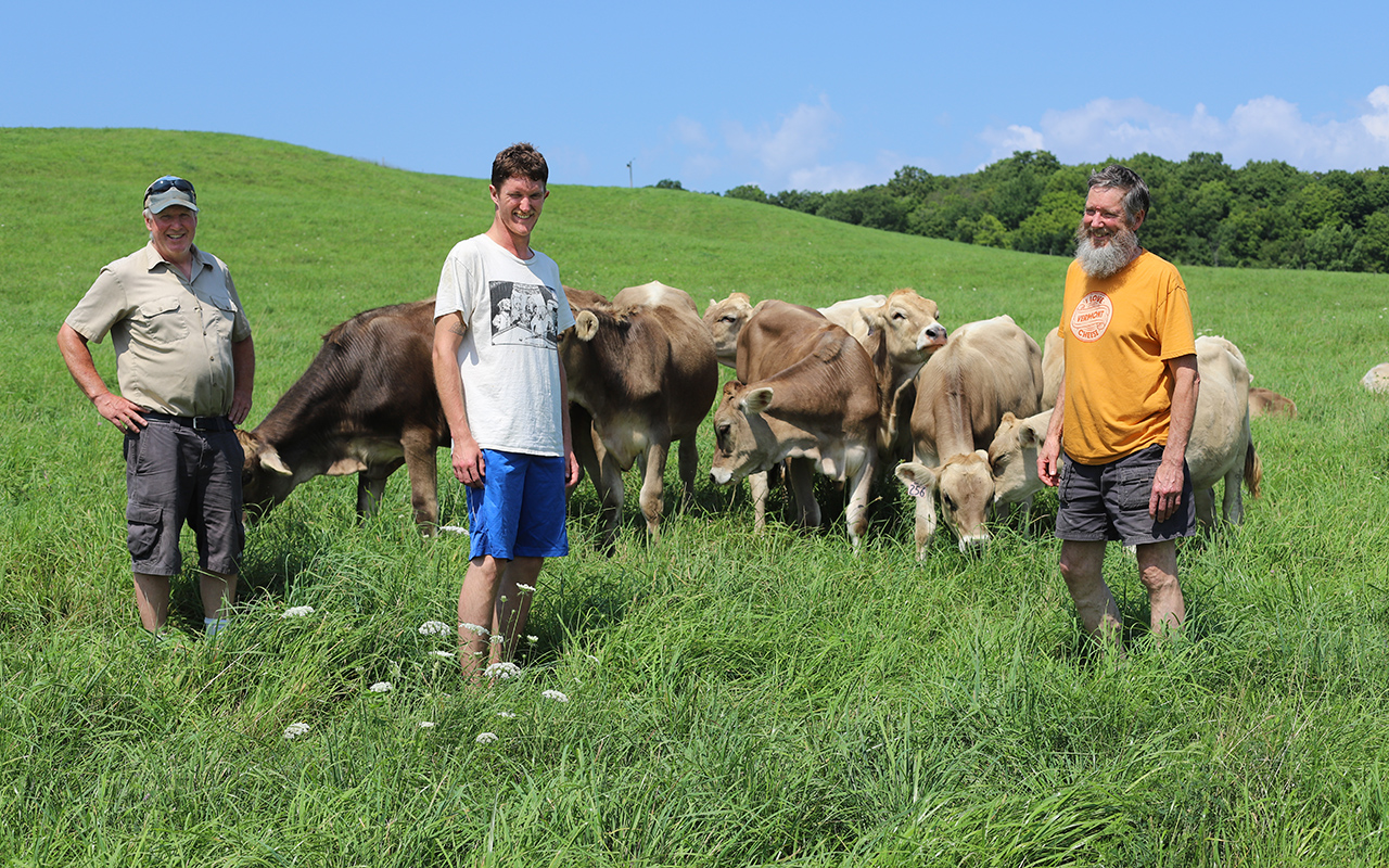 3 men standing in a green field with brown cows around them and very blue sky