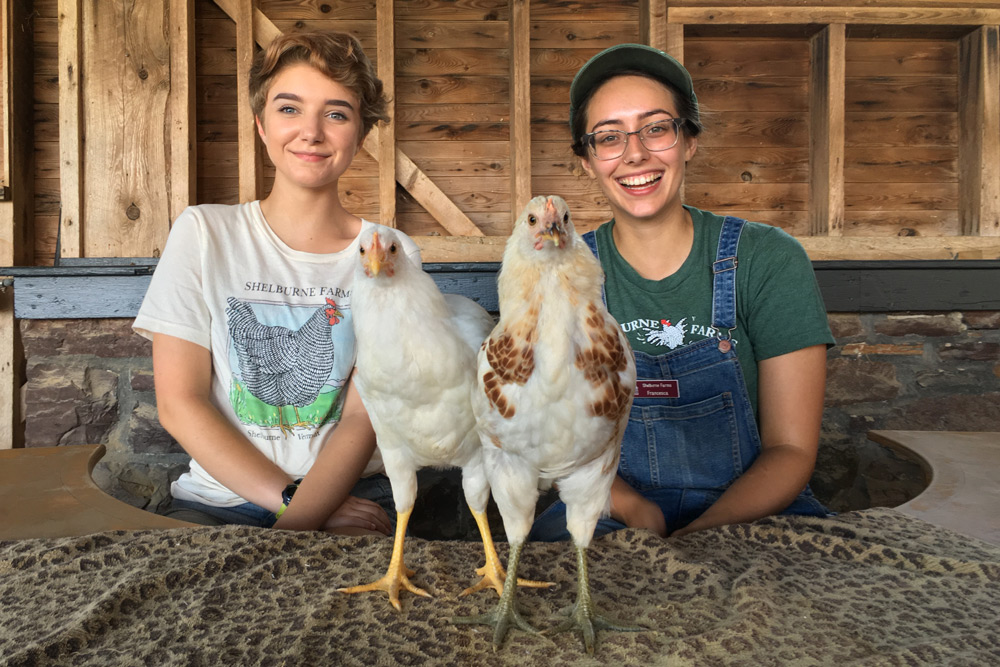 two work and learn volunteers sit at a table with two chickens