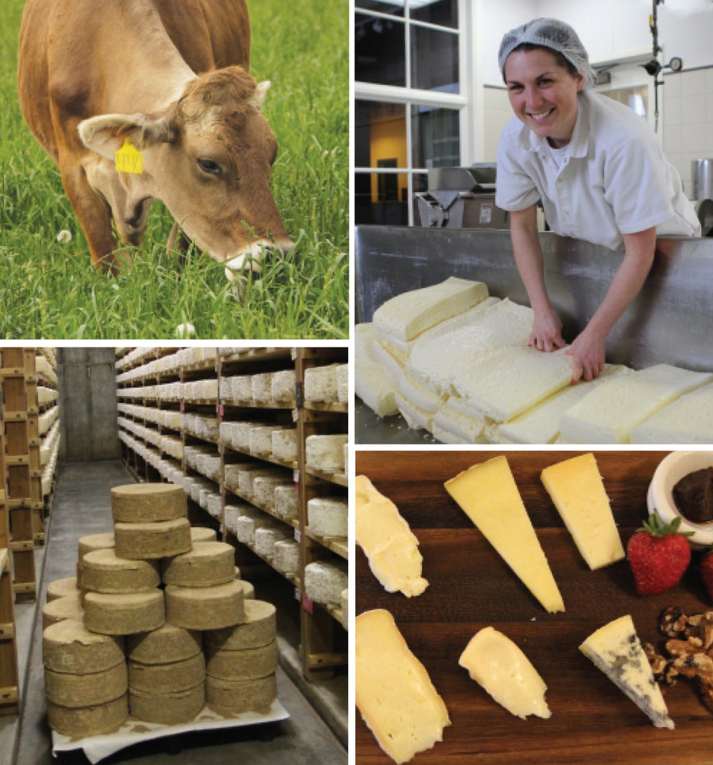 Pasture to Palate