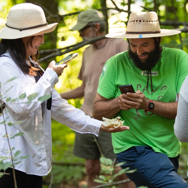 Two adults in the woods photographing mushrooms