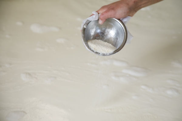 A hand gently shakes a white powder, a starter culture, from a silvery bowl into a large vat of warm milk.