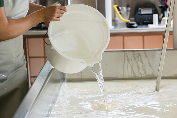 Hands hold a white bucket while pouring a transparent liquid in a vat of milk.