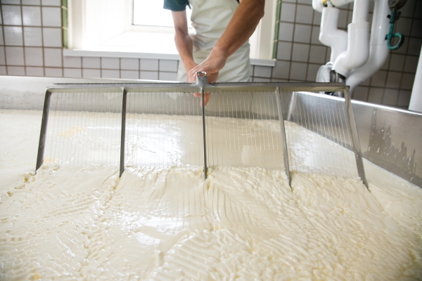 A person's arms are shown pulling a large, silvery comb-like tool through a vat, creating separation in the thick milky substance within.