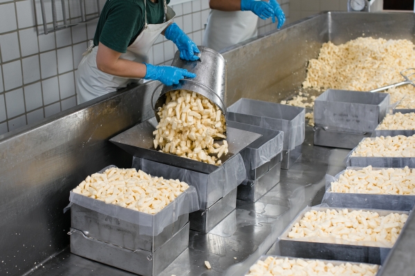 A worker in blue sanitary gloves pours curd fingers from a silvery bucket into a silvery hoop using a funnel.
