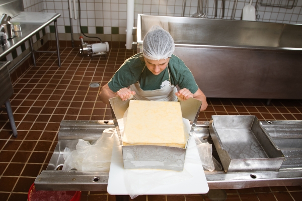 A worker in a hairnet opens a hoop to reveal a uniformly pressed and shaped block of cheese.
